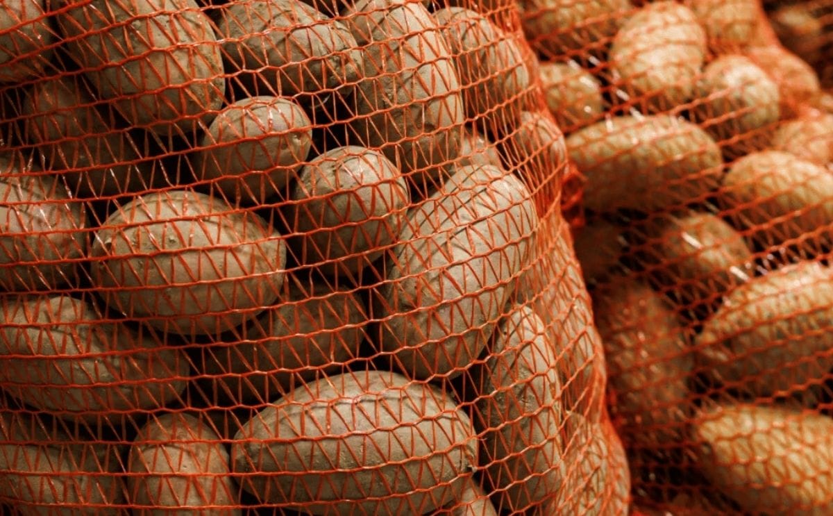 Brasil: optimismo en los mercados tras primeros resultados