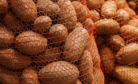 Optimismo en los mercados tras primeros resultados Optimismo en los mercados tras primeros resultados