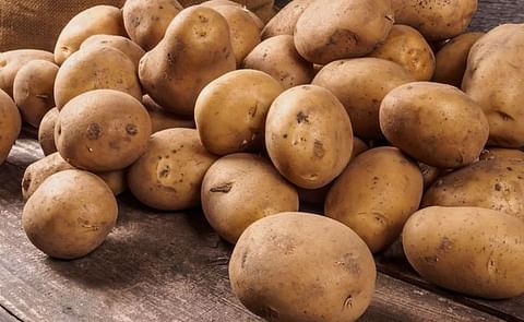 The decline in Fresh sales volume was driven by Russets, with 65% share of volume. Volume was down -9.9% for the quarter. Value was down only -0.1% due to a substantial 10.9% increase in the price per pound. The decline in Fresh sales volume was driven by Russets, with 65% share of volume. Volume was down -9.9% for the quarter. Value was down only -0.1% due to a substantial 10.9% increase in the price per pound.