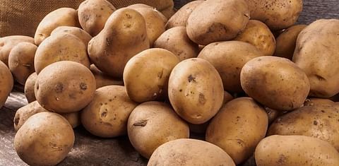 United States Retail Potato Sales mixed