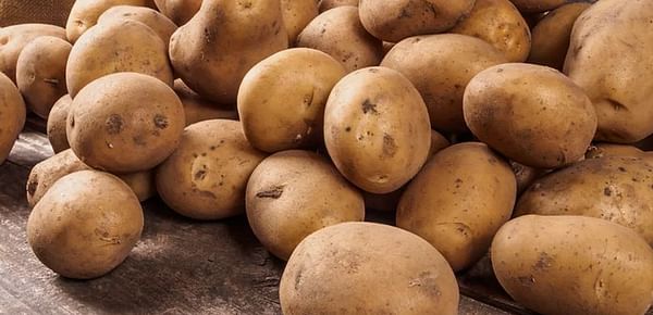 United States Retail Potato Sales mixed