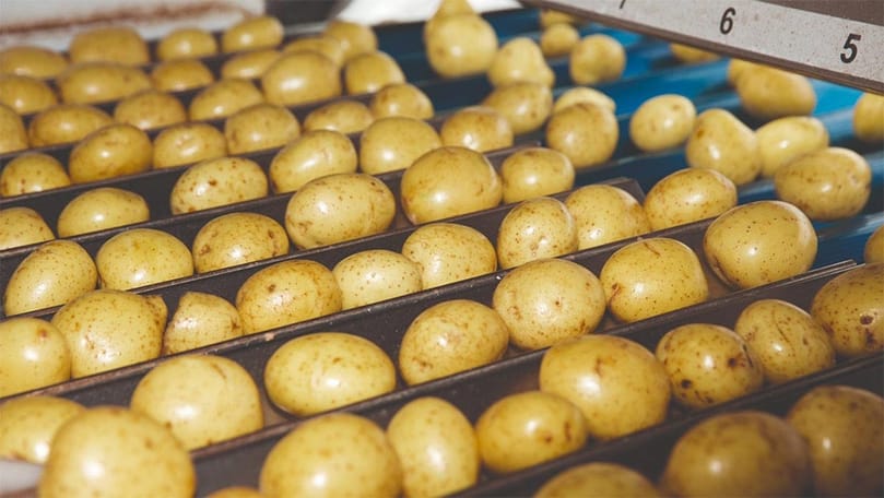 Potatoes move through an advanced sorting line as laser technology helps processors detect hidden defects and improve product quality and food safety. Potatoes move through an advanced sorting line as laser technology helps processors detect hidden defects and improve product quality and food safety.