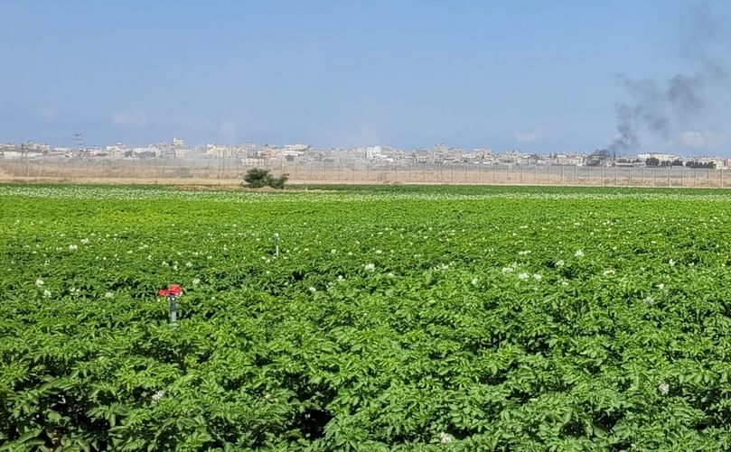 Jacky Behare: Muchas de estas parcelas se encuentran al norte, este o sureste de la Franja de Gaza, justo en la zona que ahora está cerrada para civiles.