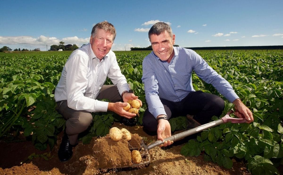 Potatoes New Zealand joins government biosecurity initiative