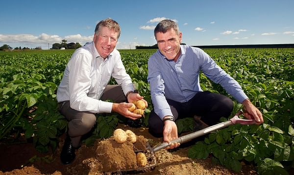 Potatoes New Zealand joins government biosecurity initiative