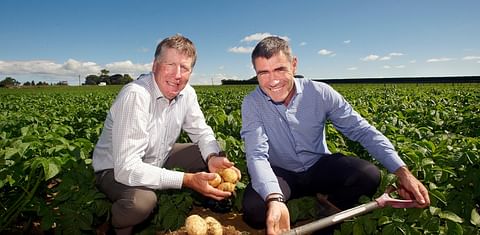Potatoes New Zealand joins government biosecurity initiative