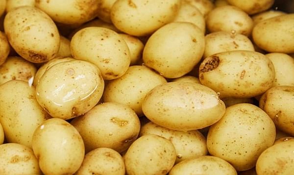 Potatoes NZ request Emergency Measures to ban EU imports