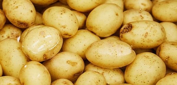 Potatoes NZ request Emergency Measures to ban EU imports