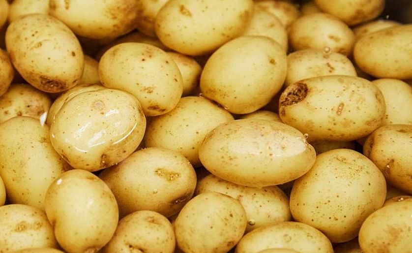 Potatoes New Zealand request Emergency Measures to ban EU imports

