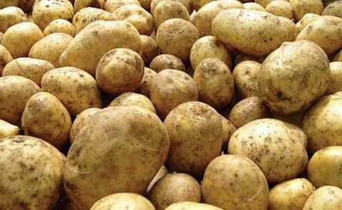 Government of Pakistan to form Potato Development Council Government of Pakistan to form Potato Development Council
