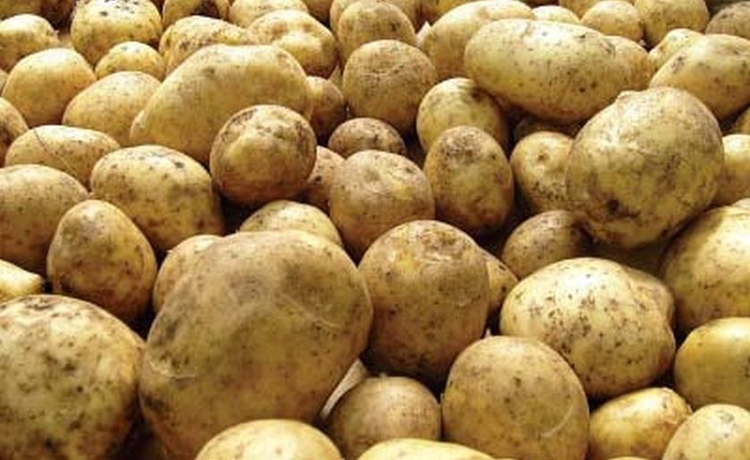 Government of Pakistan to form Potato Development Council