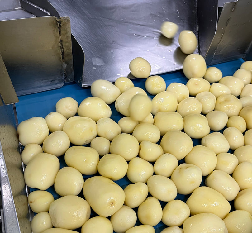 Potatoes Peeling Potatoes Peeling