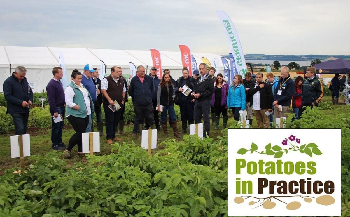 Potatoes in Practice: Britain’s largest technical potato field event is this week Potatoes in Practice: Britain’s largest technical potato field event is this week