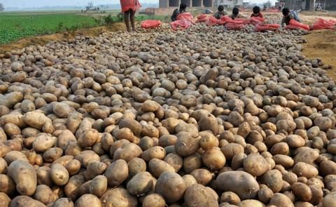 Potato price surges by 28%-38% in UP, West Bengal as demand rises in the lockdown period. Potato price surges by 28%-38% in UP, West Bengal as demand rises in the lockdown period.