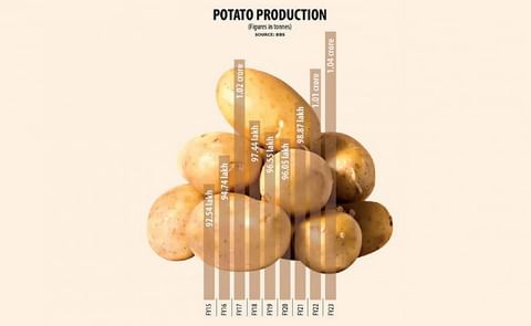Potato Production Potato Production