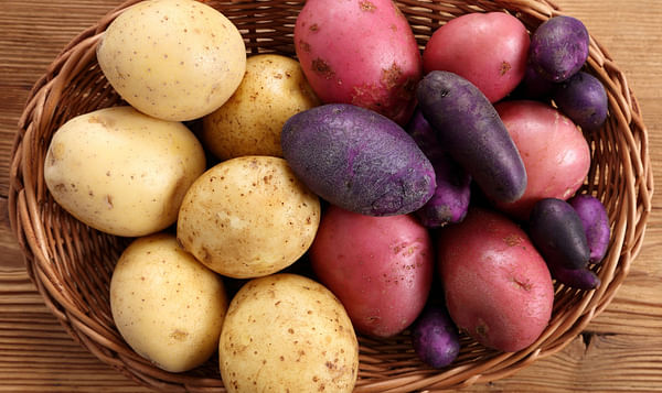 Neiker transfers its potato varieties, ‘Edurne’ and ‘Beltza’, to the cooperative UDAPA