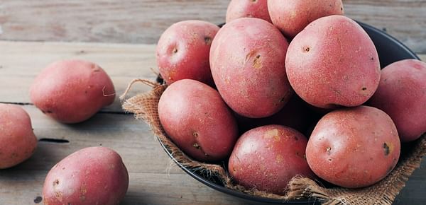 Arizona Red Potatoes available from May 10th from Pinto Creek
