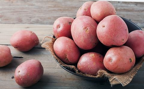 Red Potatoes will be available from May 10th from Pinto Creek Co., LLC in Eloy, Arizona.