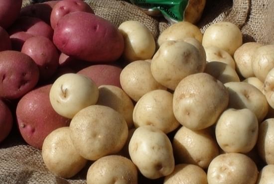 If you want to use potatoes for frying, also make sure you have the right variety