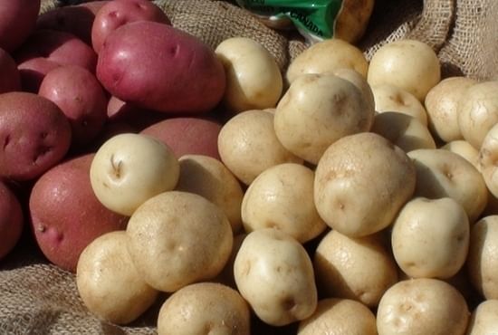 Si desea utilizar patatas para freír, asegúrese también de que tiene la variedad adecuada.