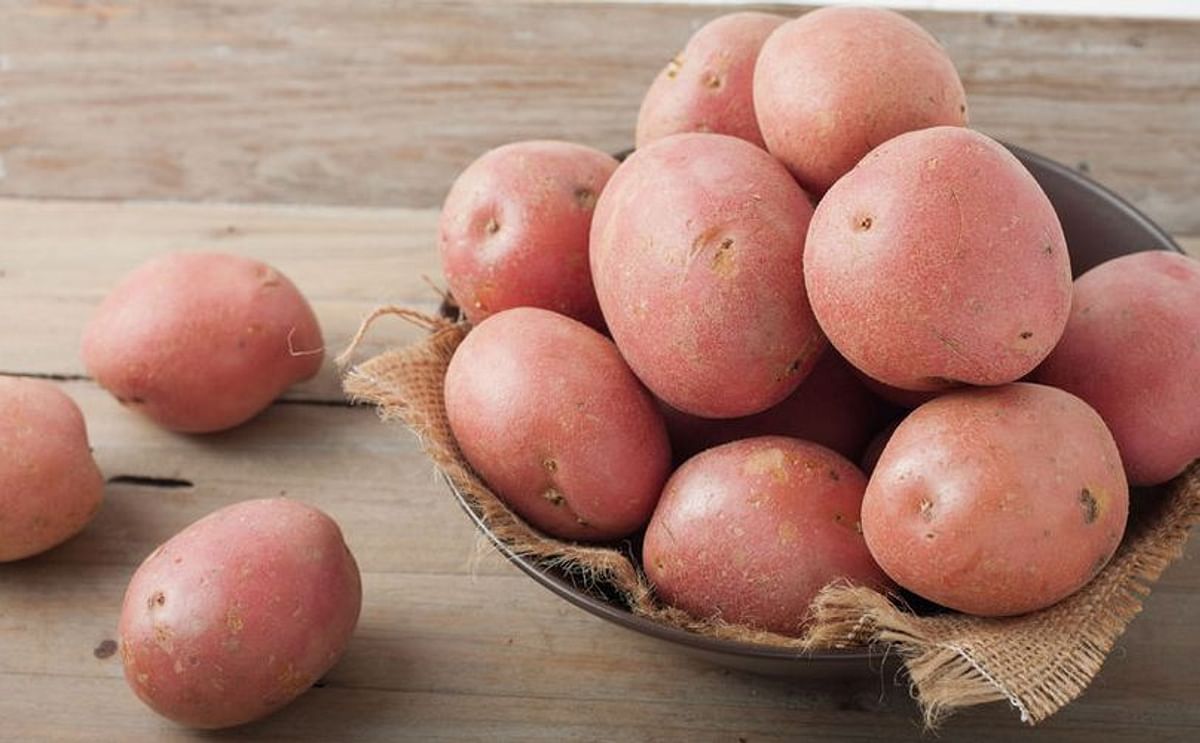 Citing national security and biosecurity, a federal judge in Mexico yesterday barred the import of fresh potatoes from the United States, describing the country as 'a power that in recent times has institutionalized hostile policies towards Mexico'.