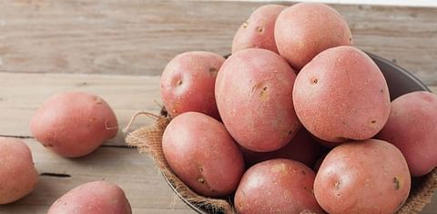 Mexican Judge bans potato import from the US, a &#039;foreign power with hostile policies&#039;