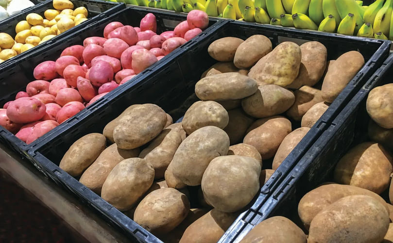 Modern Retail Potato Section Featuring Multiple Fixtures and Attractive Arrangement
