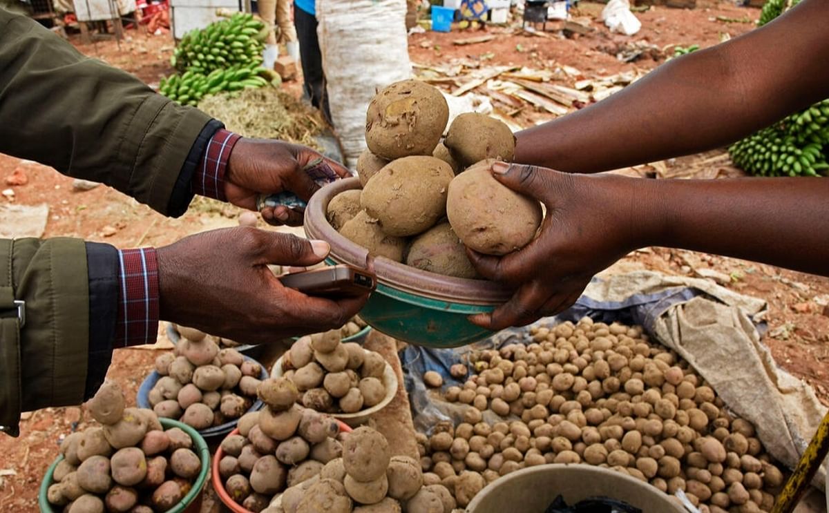 Potatoes: So Familiar, So Much More to Learn