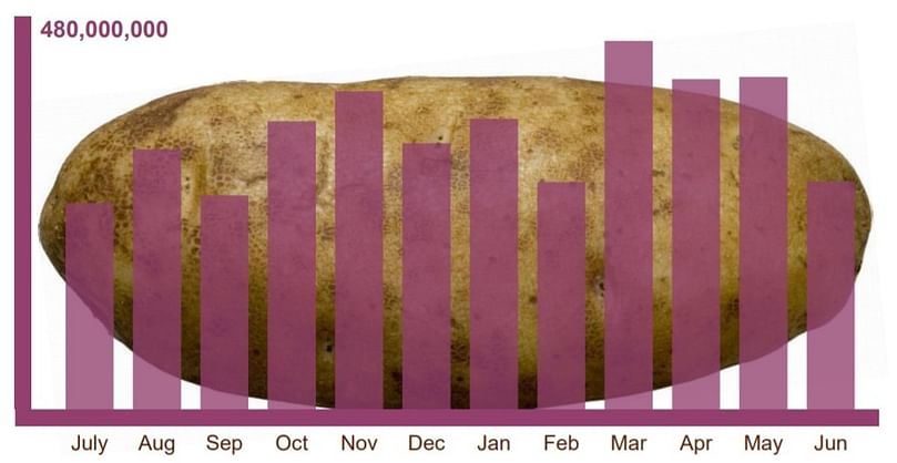 Fresh Potato In-Store Consumer Profile