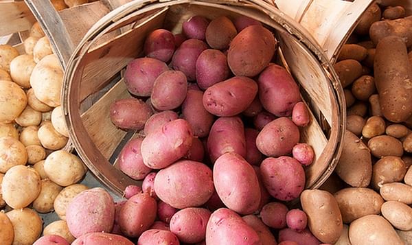United States Retail Potato sales exceed 5-year records