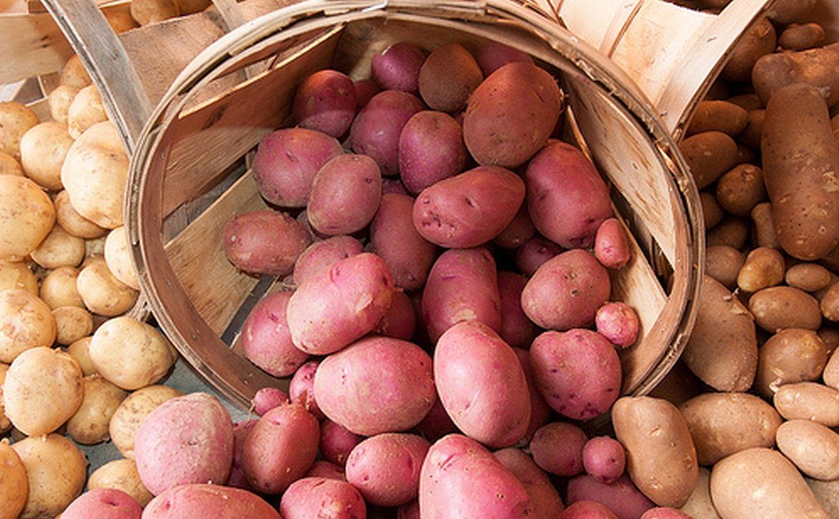 United States Retail Potato sales exceed 5-year records United States Retail Potato sales exceed 5-year records