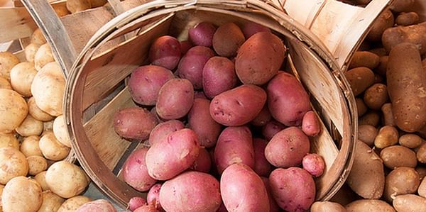 United States Retail Potato sales exceed 5-year records