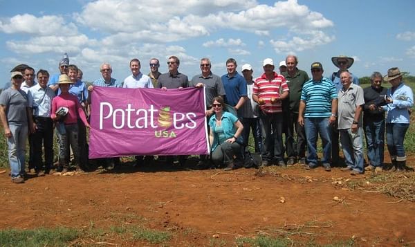 United States exports seed potatoes to Cuba