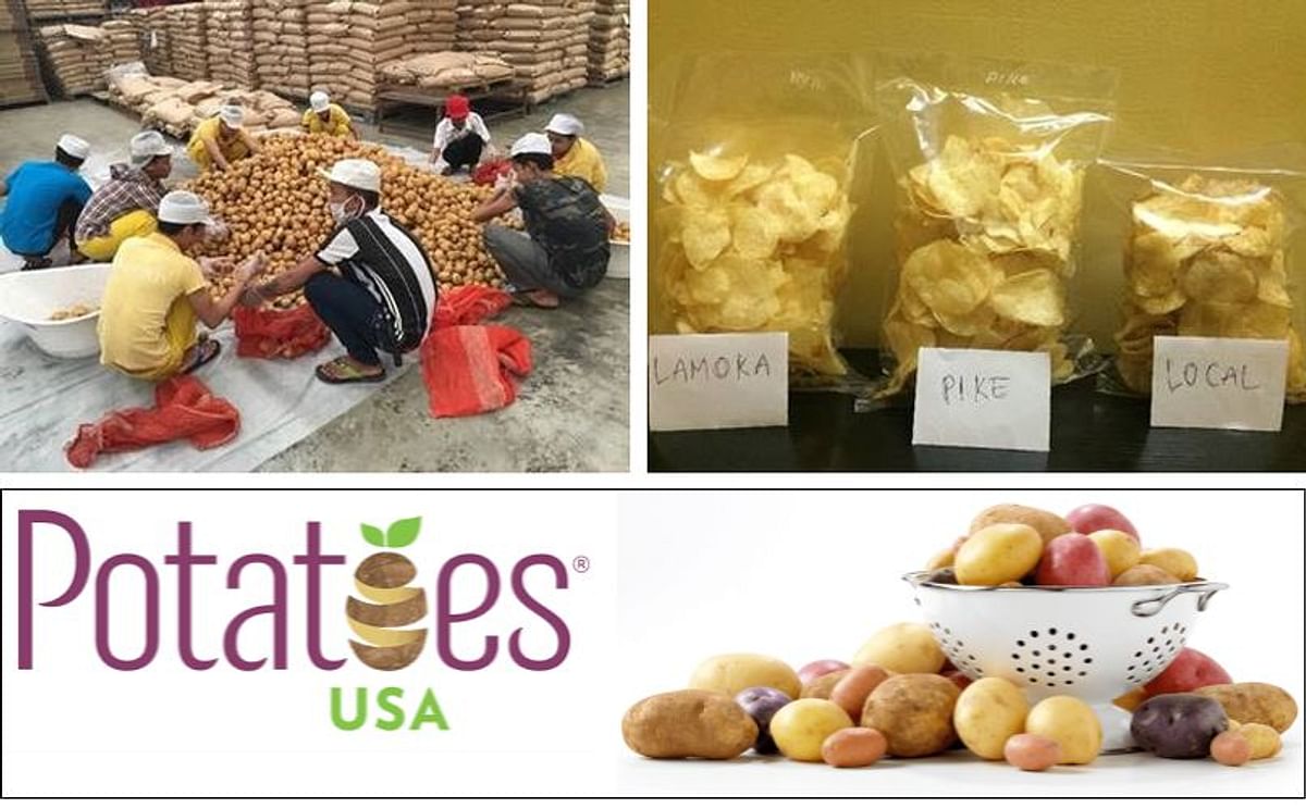 Potatoes USA has distributed chip-stock potatoes to four local potato chip manufacturers in Myanmar to conduct product trials.