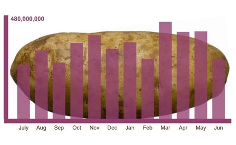 Potatoes USA is the marketing organization for the 2,500 commercial potato growers operating in the United States. Potatoes USA, was established in 1971 by a group of potato growers to promote the benefits of eating potatoes. Potatoes USA is the marketing organization for the 2,500 commercial potato growers operating in the United States. Potatoes USA, was established in 1971 by a group of potato growers to promote the benefits of eating potatoes.