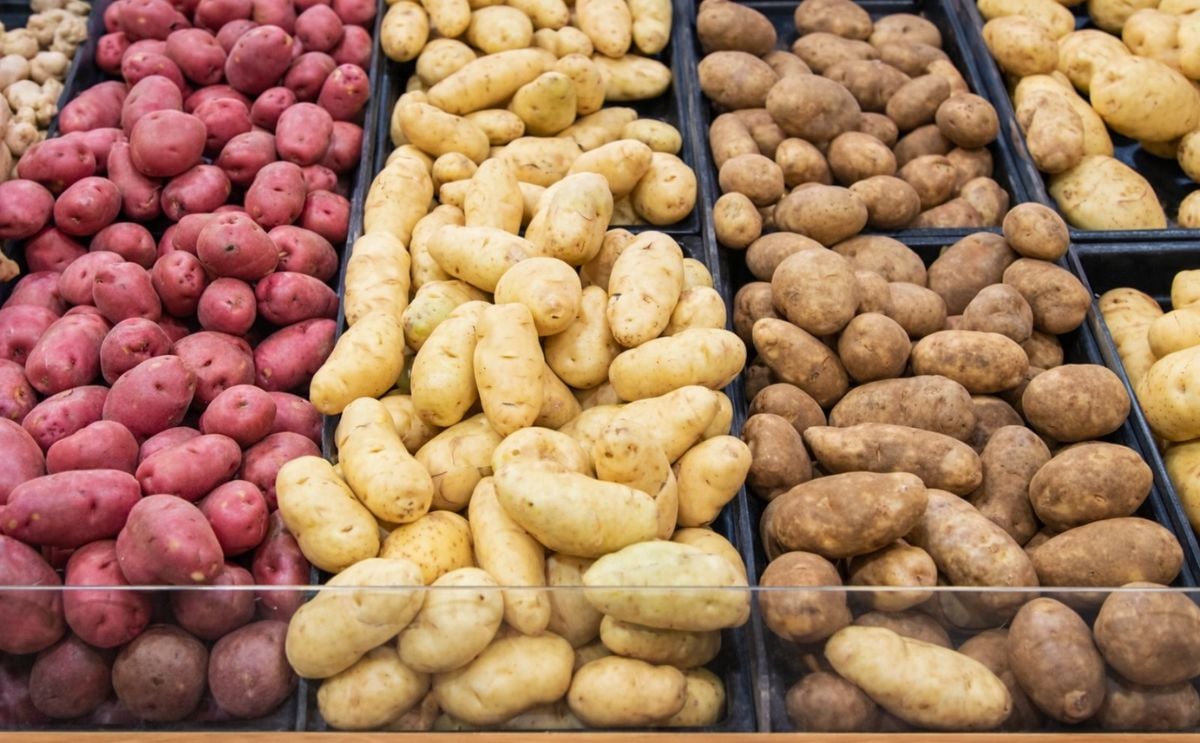 Strict Potato labeling in Hungary mandates inclusion of variety and cooking-type Strict Potato labeling in Hungary mandates inclusion of variety and cooking-type