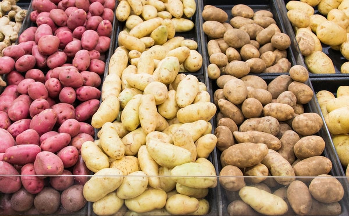 Different potato varieties on display in a grocery store.