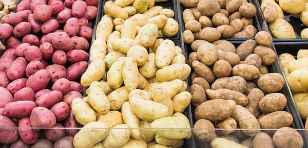 Strict Potato labeling in Hungary mandates inclusion of variety and cooking-type