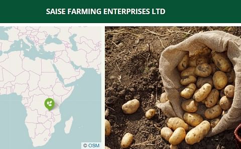 Social impact investor and project developer AGDEVCO expects the project to produce enough small-sized seed for 104 smallholders and to create 80 FTE jobs (50% women). Social impact investor and project developer AGDEVCO expects the project to produce enough small-sized seed for 104 smallholders and to create 80 FTE jobs (50% women).