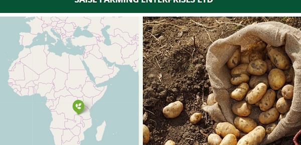 USD4.5m invested in potato farming in Zambia