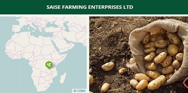 USD4.5m invested in potato farming in Zambia