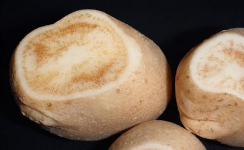 YAUSVEG welcomes review of Australia's Biosecurity Import Risk Analysis process YAUSVEG welcomes review of Australia's Biosecurity Import Risk Analysis process