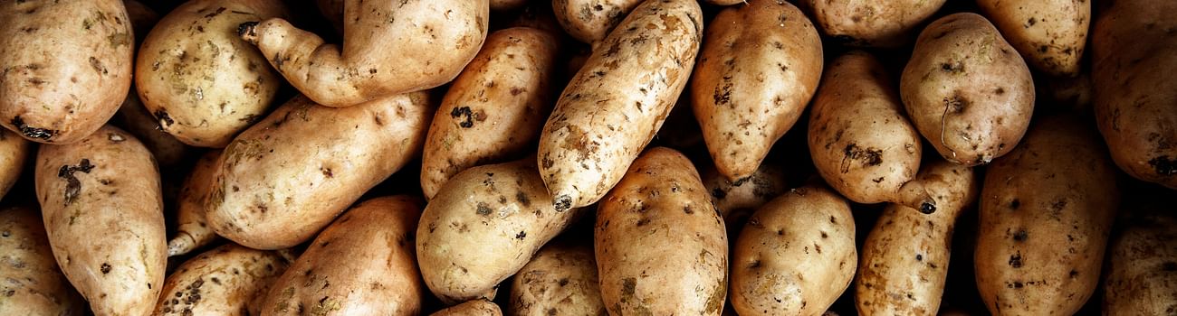 Potatoes Potatoes