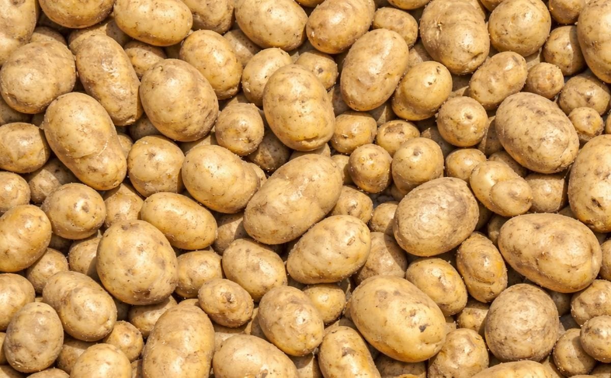 Potatoes