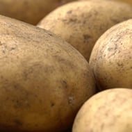 Potatoes Potatoes