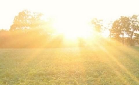 Washington potato crop heating up Washington potato crop heating up