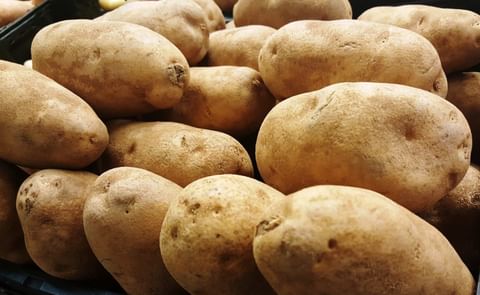 Los aranceles aduaneros sobre las patatas importadas probablemente se suspenderán temporalmte. (Costesía: Fresh Plaza) Los aranceles aduaneros sobre las patatas importadas probablemente se suspenderán temporalmte. (Costesía: Fresh Plaza)