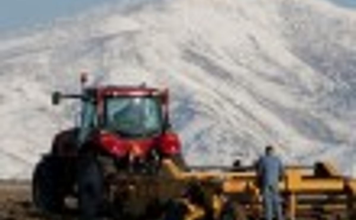 2011 Idaho® Potato Crop Marks the 75th Anniversary for the Idaho Potato Commission 2011 Idaho® Potato Crop Marks the 75th Anniversary for the Idaho Potato Commission