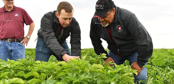 Supported by potato industry stakeholders, Washington State University expands research on soil health