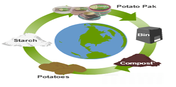  Ciclo de producción del Potatopak
